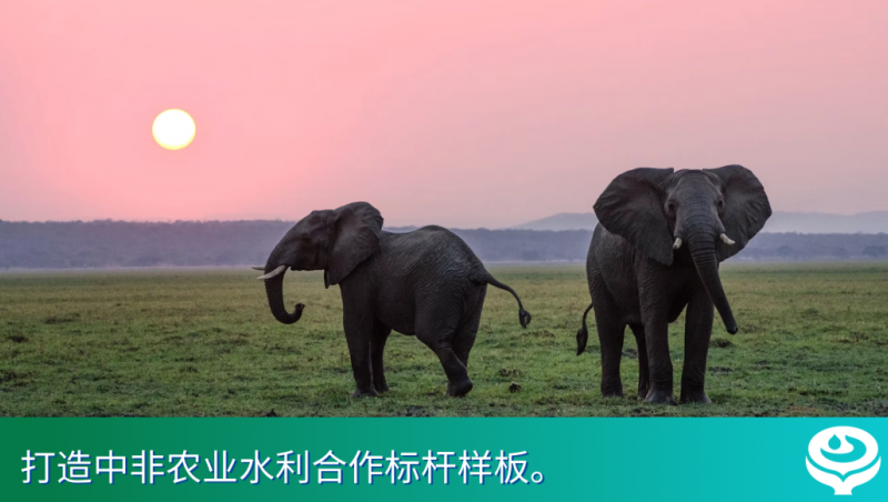 抖圈网站国际｜抖圈网站集团与津巴布韦副总统在京座谈，，，，，，全产业链助力津巴布韦破解农业发展难题